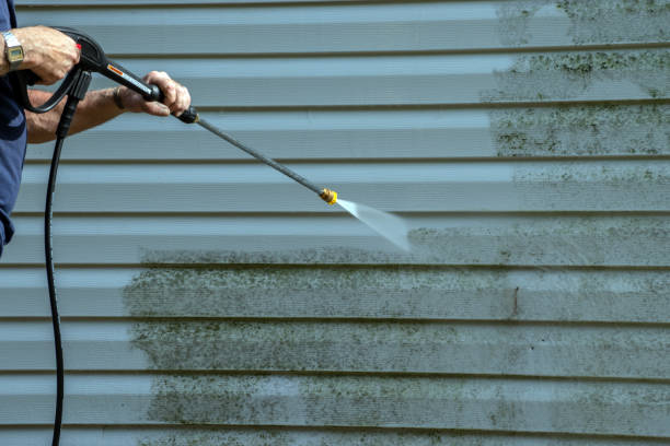 Best Graffiti Removal  in Henry, IL