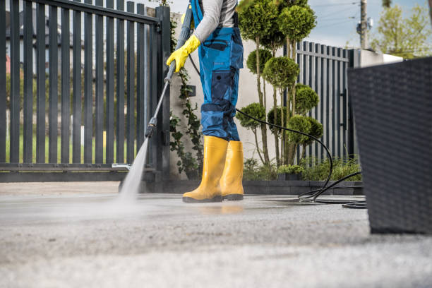 Best House Exterior Washing  in Henry, IL